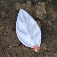 Керамічна палітра, ясен