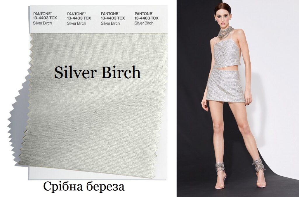 Срібна береза