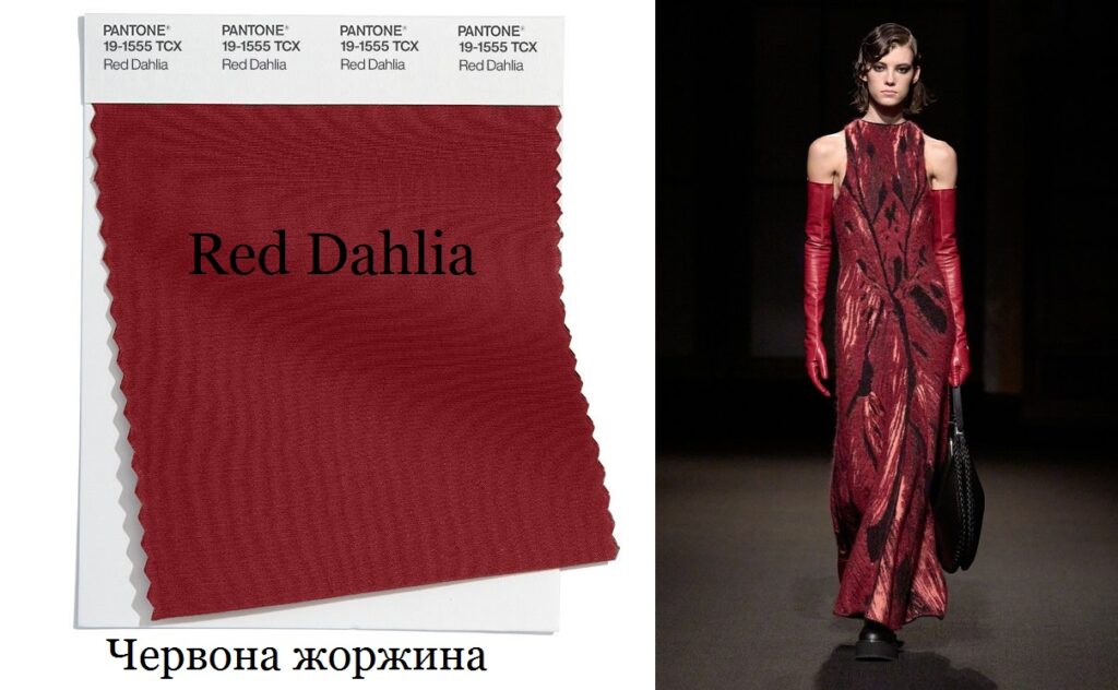 Червона Жоржина